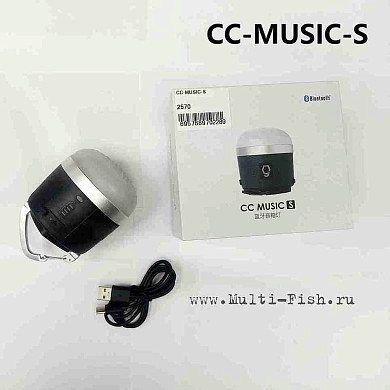Bluetooth speaker с аккумулятором DAYO, USB