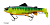 Воблер DAIWA PROREX LIVE TROUT SWIMBAIT DF