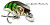 Воблер DAIWA PROREX MICRO