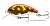 Воблер DAIWA TOURNAMENT KP FLAT CRANK F