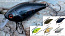 Воблер HERAKLES BOOB 60 (Brown Craw) crankbait, плавающий, 6,5гр/60мм, до 0,8м