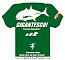 Футболка Hots GT DRY T-SHIRT OLIVE размер 3L