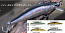 Воблер HERAKLES JERK-090 (Silver Shad) jerkbait, плавающий,11,5гр/90мм до 1,4м